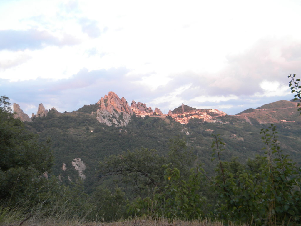 DSCN2729 .JPG